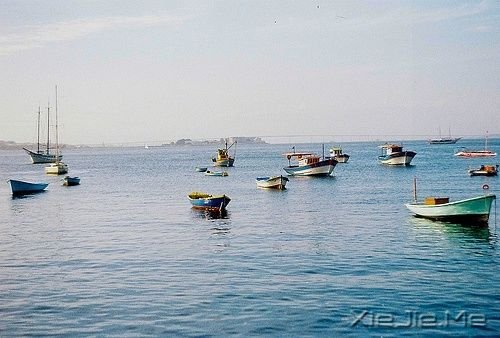 晚安心语:不要因为一时的心烦,做出一辈子的傻事 (7)