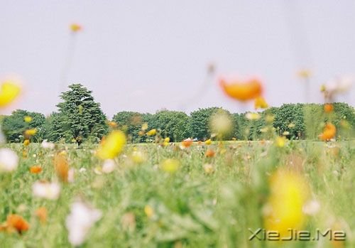 晚安心语:一个人时,善待自己;两个人时,善待对方 (1)