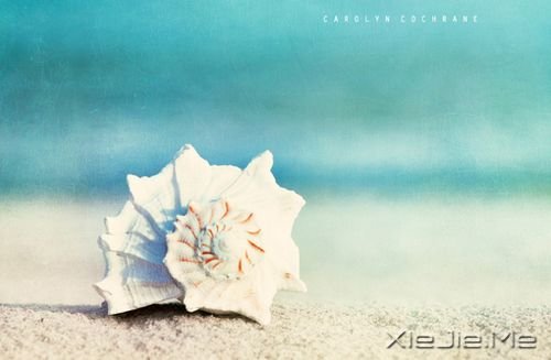 晚安心语:把手放开,你得到的是一切 (1)