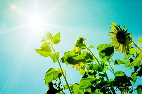 晚安心语:我们都老得太快,却明白得太迟 (8)