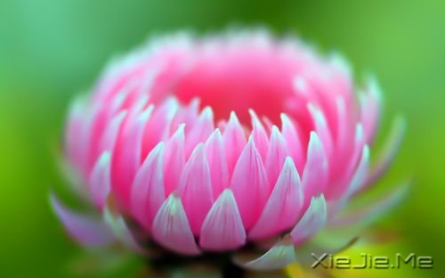 �簲������������������������������ (1)