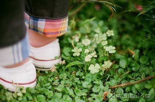 晚安心语:不为模糊不清的未来担忧,只为清清楚楚的现在努力 (3)