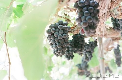 �簲�������ֻ�о�����ƽ���������Ե�����������ʵ (2)