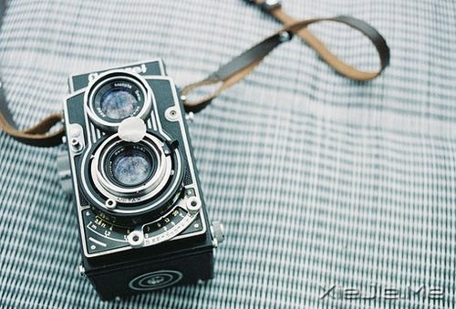 晚安心语:独走的路,是最美的风景 (4)