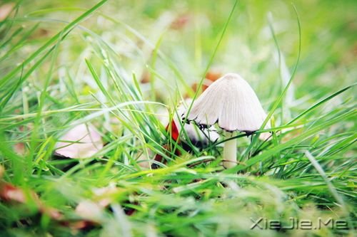 ��������������£�ԭ������ݵı��� (6)