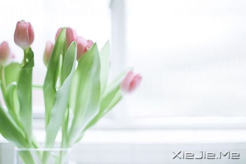 �簲����������ڱ��˵����������ʧ���Լ�����·�� (4)