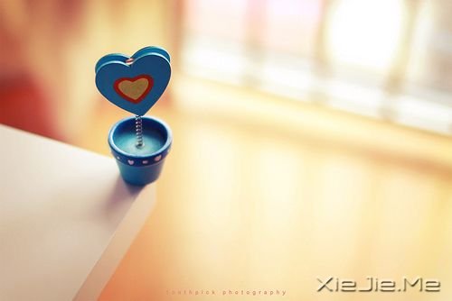 С����ͼƬ (2)