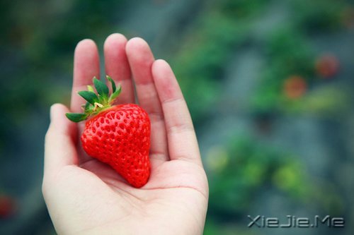 早安心语:有一种魅力,叫独自走过 (6)