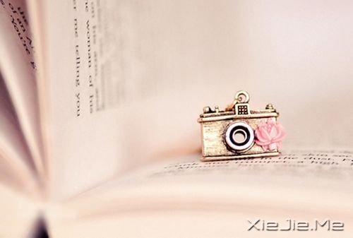 ���������������Ǿ������Ҹ�������·�� (10)