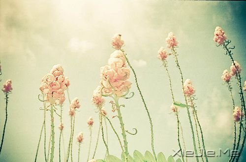 ȥ���������������