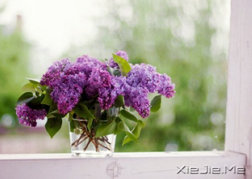 �żμѣ����һ�����Ѹɸ���