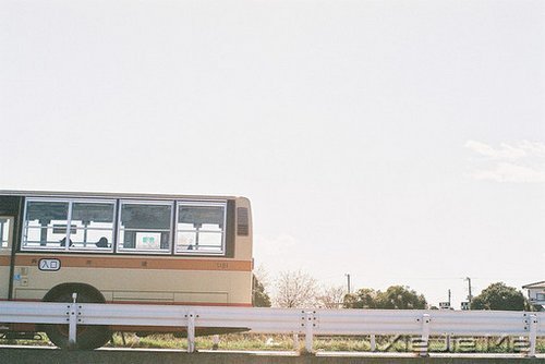 ��ϲ������л���С����