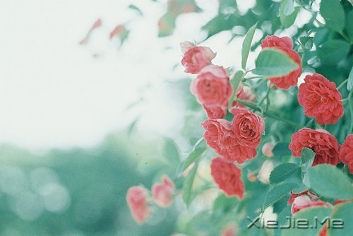 ��������һҹ����