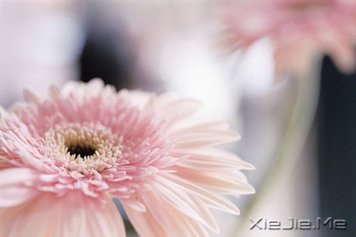 ��褣���ѧ����