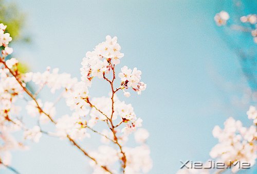 2014,用12个月来改变自己 (12)