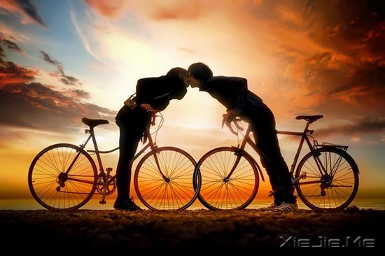 2013�й��鰮����