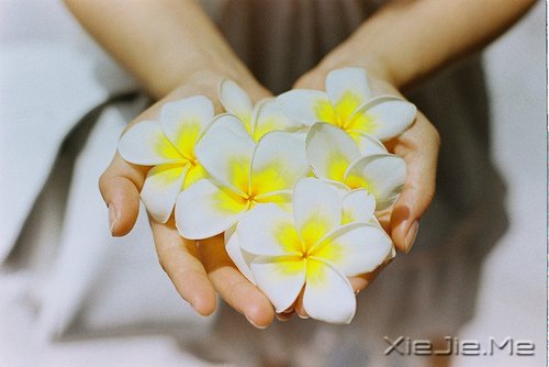 2014年送自己的十句话 (8)