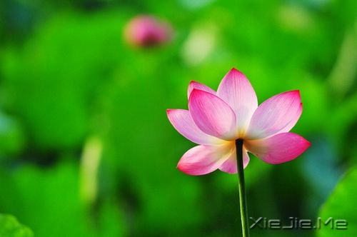 ����С���£���������