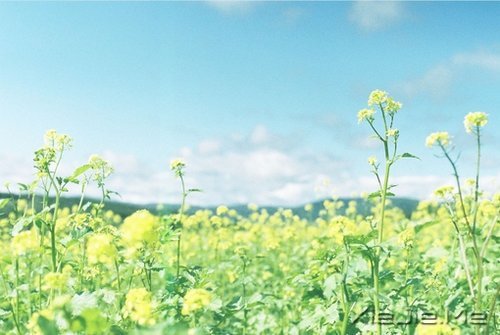 ����������������20����־С����