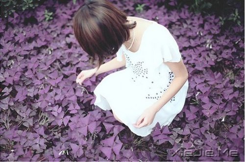 文字:席慕容文字选 (8)