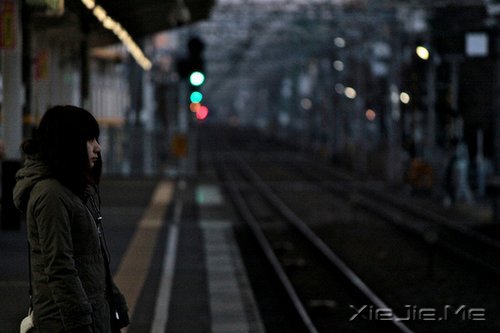 ���֣����������������� (1)