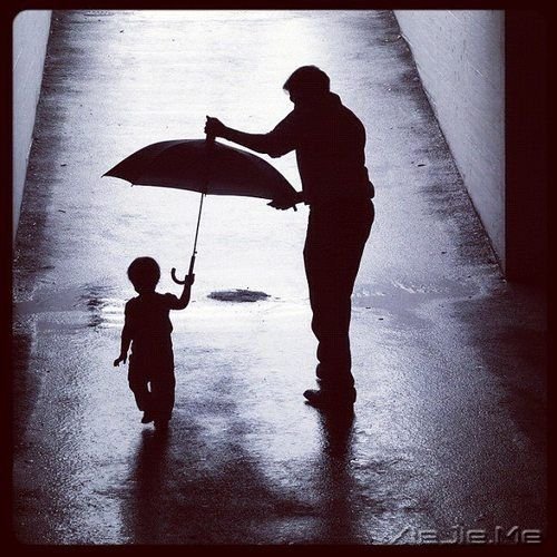 �֣����׽ڿ��� (6)