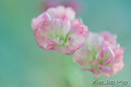 一个人应该活得是自己并且干净