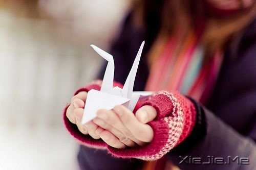 如果时光停在六月 (2)