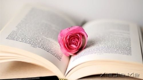 每个人的青春都有一条弯路,你要自己走