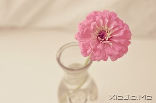 ������¼��20�������������� (3)