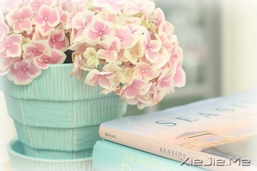 击中泪腺的16篇微小说