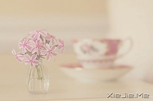 生命中那些简单的小幸福 (2)